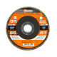 Flap Sanding Disc for Angle Grinder Polax 125x22 mm, K120 (54-006)