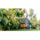 Тример садовий Bosch EasyGrassCut 23 280Вт 23см 1.9кг