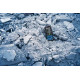 Далекомір лазерний Bosch Professional GLM 50-27 CG, 0.05-50м, ±1.5мм, IP65, 0.17кг