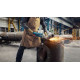 Шліфмашина кутова Bosch Professional GWS 24-230 JZ 230мм 2400Вт 6500об/хв 5.8кг плавн. пуск із системою захисту від пилу Cyclone Tech