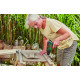 Шурупокрут-дриль акумуляторний Bosch EasyDrill 1200 12В 2х1.5А·год 30Нм 0-400·1500об/хв 0.94кг набір свердл і біт кейс
