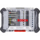 Bosch Extra Hard Screwdriver Bit Set, 46-piece set, magnetic bit holder, PH, PZ, T, SL, HEX, case