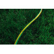 Шланг садовий 2Е AquaFlex Green 1/2\