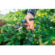 Секатор площинний Cellfast ERGO, D різу 18мм, довжина 20см