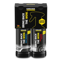 Karcher Cleaning Set for cleaning wheels Premium RM 667 and insect remover RM 618