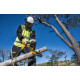 Пила ланцюгова акумуляторна DeWalt 18В шина 30см 3/8\