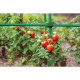 Garden steel support 1.1 x 100cm, TYP11100