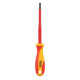 Викрутка плоска, SL 5,5/125 мм 1 кВ, HOME & GARAGE, DIY-SL1155125-V