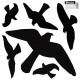 Bird Repellent Stickers, LARGE 6 pcs., 10 sheets, CTRL-BR002